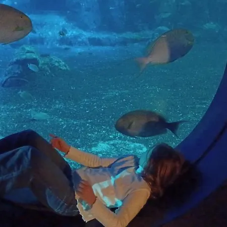 Les Pieds Dans L'eau