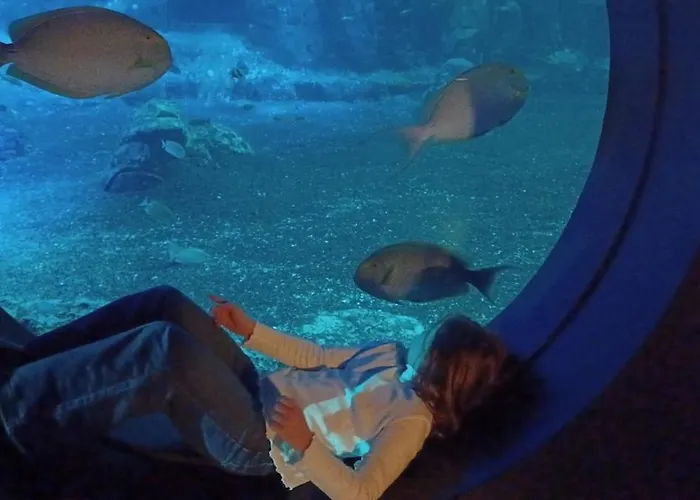 Les Pieds Dans L'eau